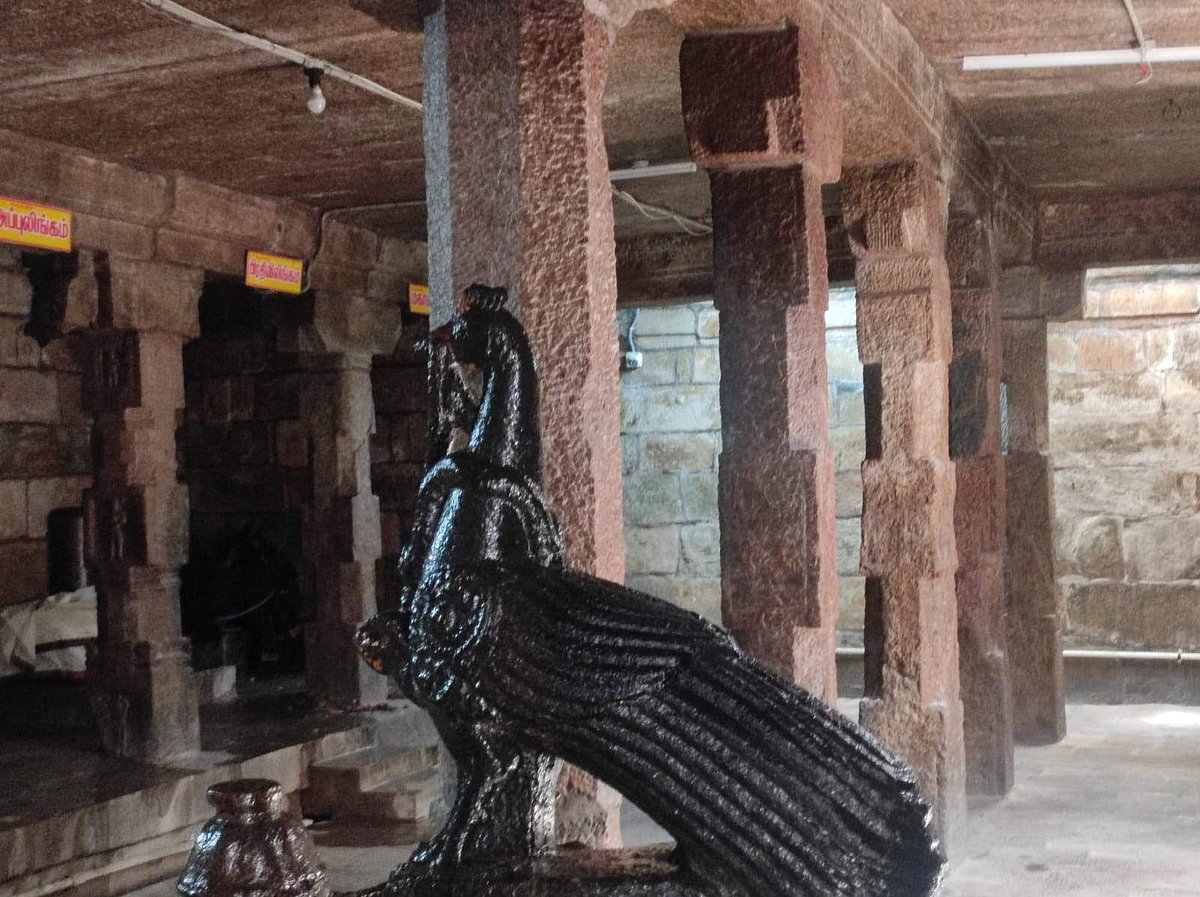 முருகன் சன்னதிக்கு எதிரே எழுந்தருளிய மயில்