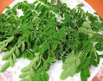 கீரையில் சீரான சிந்தனை...